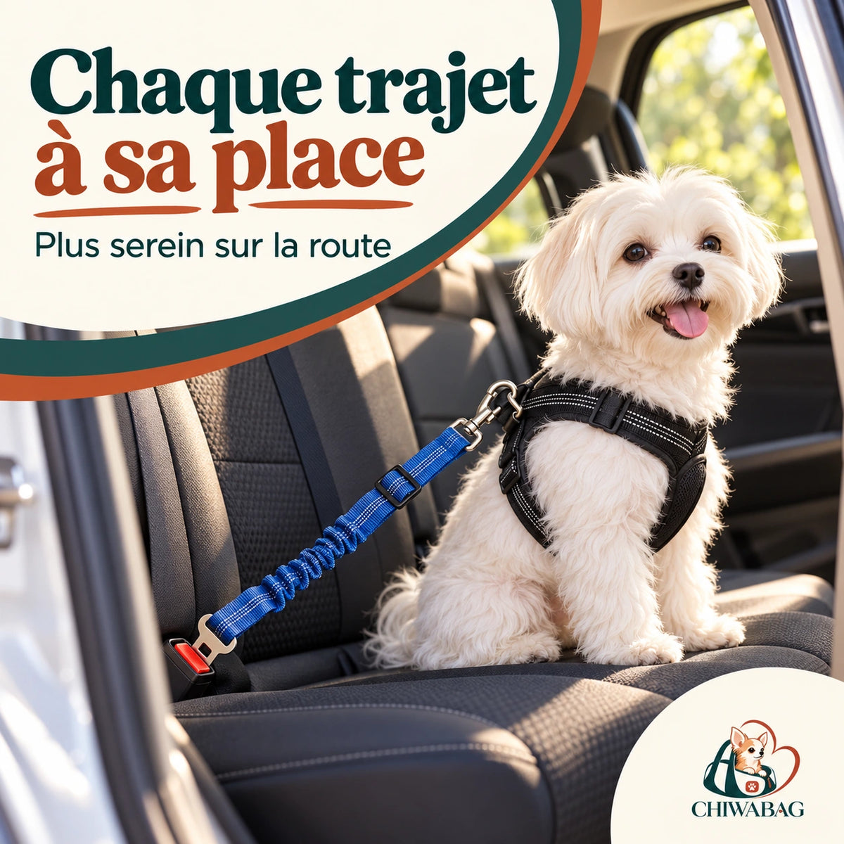 Une ceinture de sécurité pour chien qui le garde à sa place