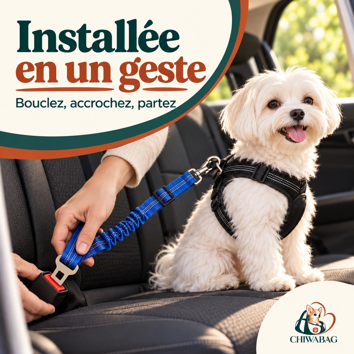 Installée en un instant