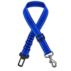 Ceinture de sécurité CHIWABAG bleue pour chien