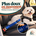 Ceinture CHIWABAG élastique et réfléchissante pour un trajet confortable