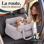 Siège auto CHIWABAG gris installé sur la banquette arrière