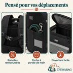 Sac à dos pour chien avec fenêtres en maille porté pendant un trajet en ville