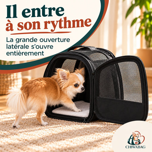 Petit chien entrant par la grande ouverture latérale du sac à dos CHIWABAG
