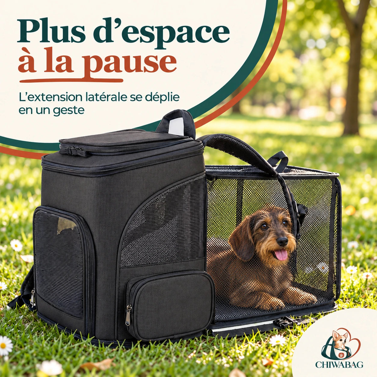 Petit teckel installé dans l’extension en filet du sac à dos CHIWABAG