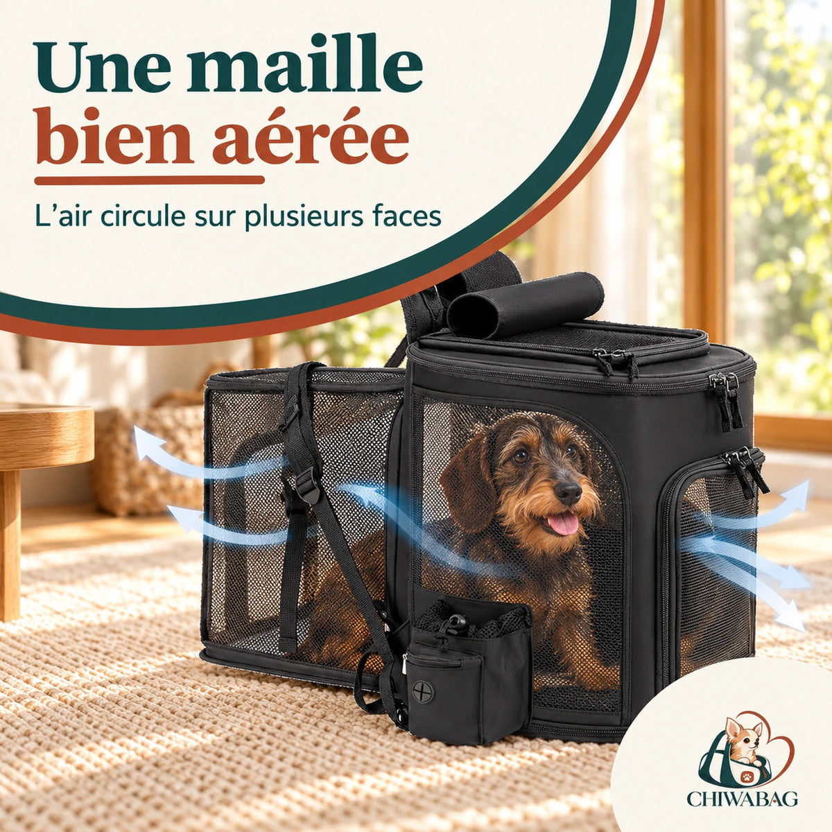 Petit teckel dans le sac à dos CHIWABAG avec maille respirante