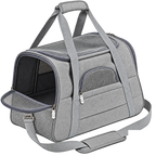 Sac de transport gris en tissu Oxford sur fond transparent