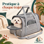 Petit chien installé dans un sac de transport gris en tissu Oxford