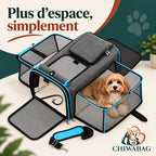 Petit chien installé dans un côté ouvert du sac de transport extensible