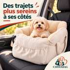 Petit chien confortablement installé aux côtés du conducteur dans le siège auto CHIWABAG beige doux