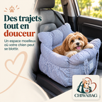 Petit chien installé dans un siège auto CHIWABAG bleu rayé et moelleux